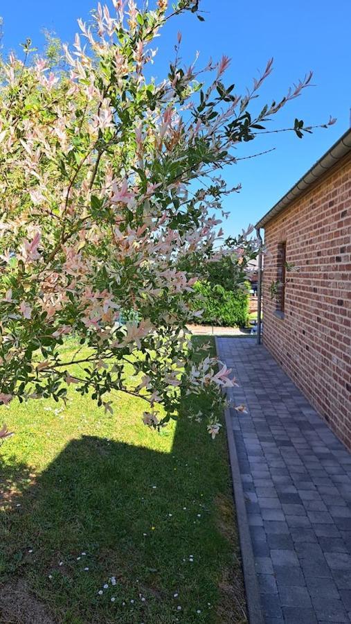 Gite Rural "L'Anseromia" Dinant Eksteriør billede